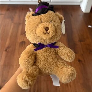 Wizard Bear Plush NWT